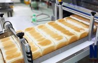 Modern-Food-Processing-Technology-with-Cool-Automatic-Machines-That-Are-At-Another-Level-Part-13