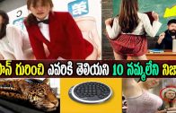 10 Unbelievable Facts About Japan In Telugu | Unbelievable Things Only Happen In Japan