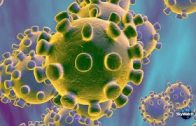 SciFriday: Is the Wuhan Coronavirus Disease X?