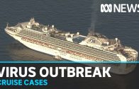 Australians among coronavirus patients being held on cruise ship in Japan | ABC News